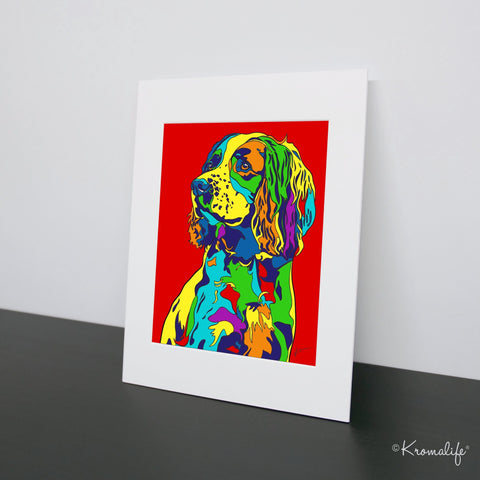 Springer Spaniel Matted Art Print  | USA Made Giclée Print | Springer Wall Art | Unique Gift for Spaniel Lovers