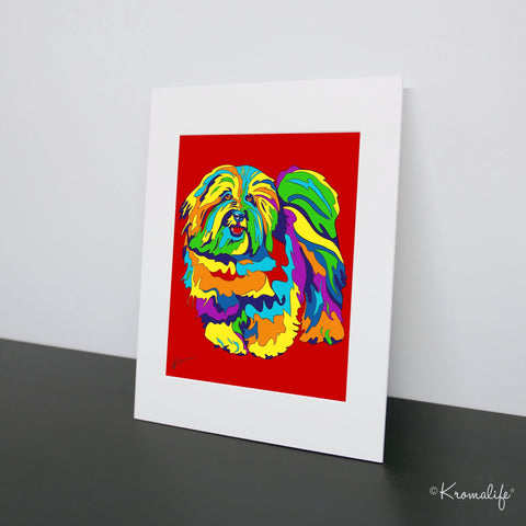 Coton de Tulear Art Print  | USA Made Matted Giclée Print | Coton Dog Wall Art | Coton Gifts