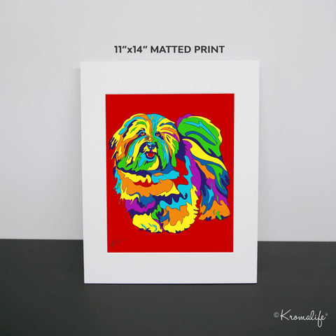 Coton de Tulear Art Print  | USA Made Matted Giclée Print | Coton Dog Wall Art | Coton Gifts