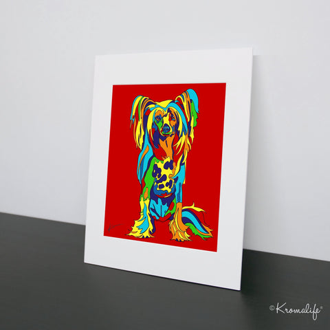 Chinese Crested Art Print  | USA Made Matted Giclée Print | Crested Dog Wall Art | Chinese Crested Gifts